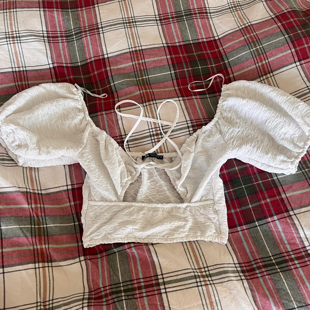 EUC Zara crop top